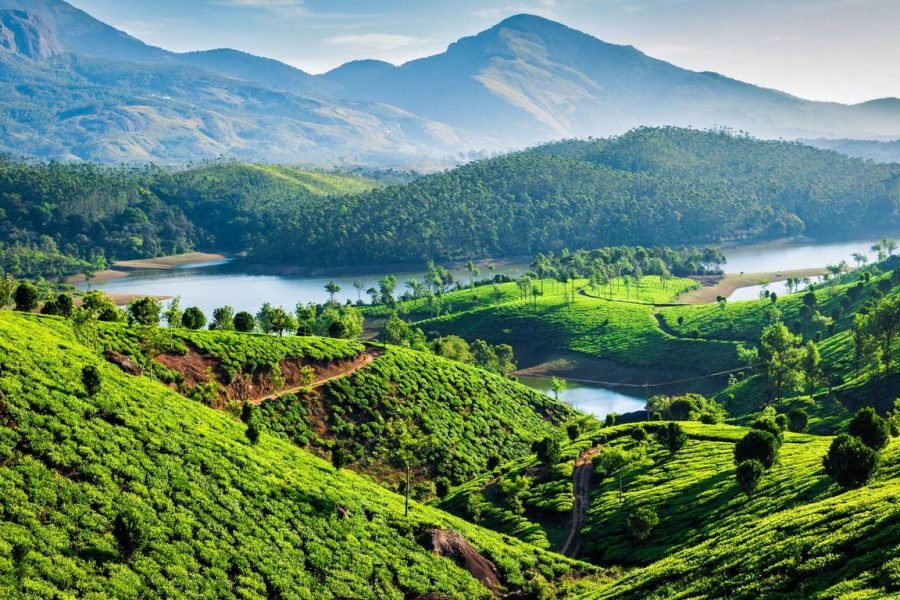 Kochi to Munnar and Vattavada Exploration