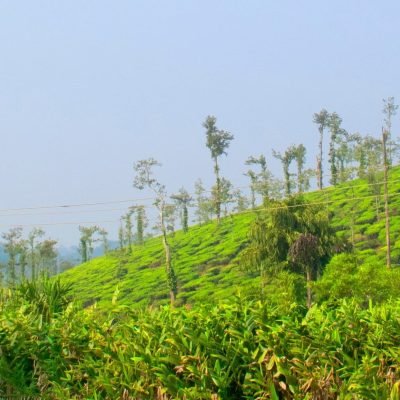 Kodagu